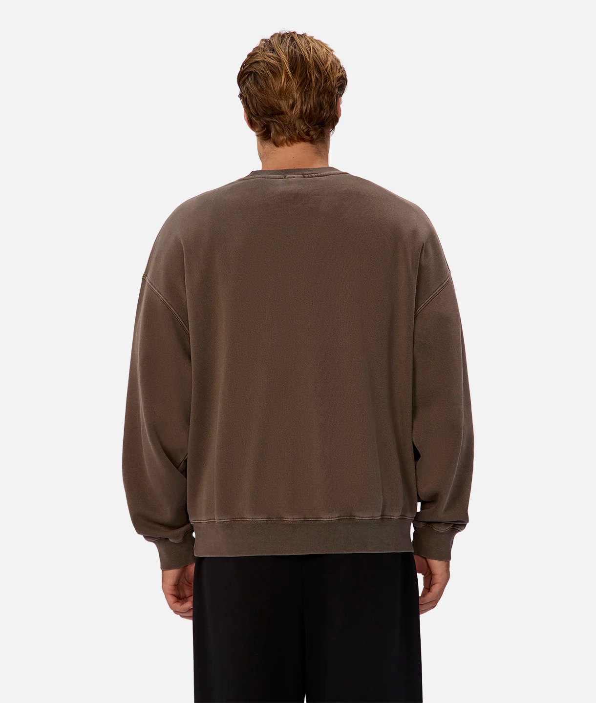 The New Del Sur Washed Sweatshirt - Mocha